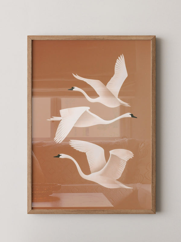 Schwan Flügelschlag Silhouette Braun