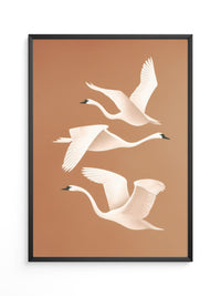 Schwan Flügelschlag Silhouette Braun