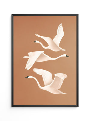 Schwan Flügelschlag Silhouette Braun