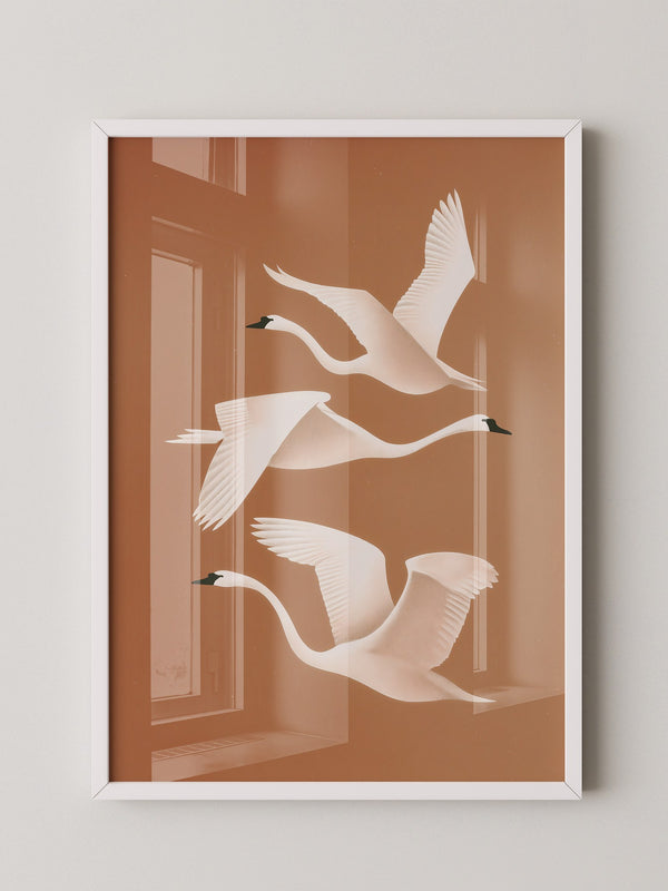 Schwan Flügelschlag Silhouette Braun