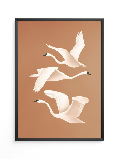 Schwan Flügelschlag Silhouette Braun