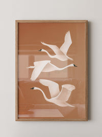 Schwan Flügelschlag Silhouette Braun