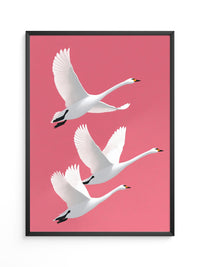 Schwäne Flug rosa Hintergrund