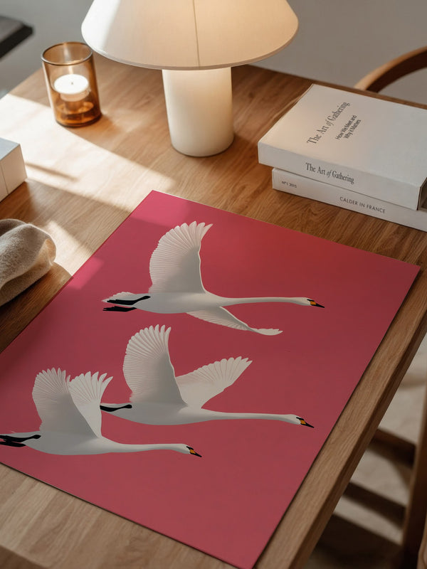 Schwäne Flug rosa Hintergrund