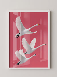 Schwäne Flug rosa Hintergrund
