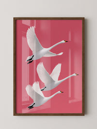 Schwäne Flug rosa Hintergrund