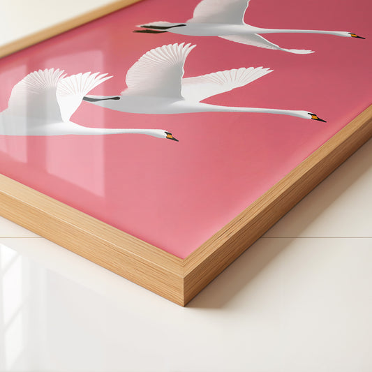 Schwäne Flug rosa Hintergrund