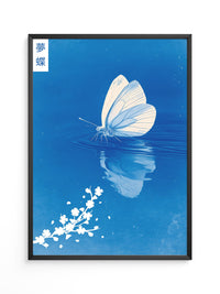 Schmetterling Spiegelung Blau