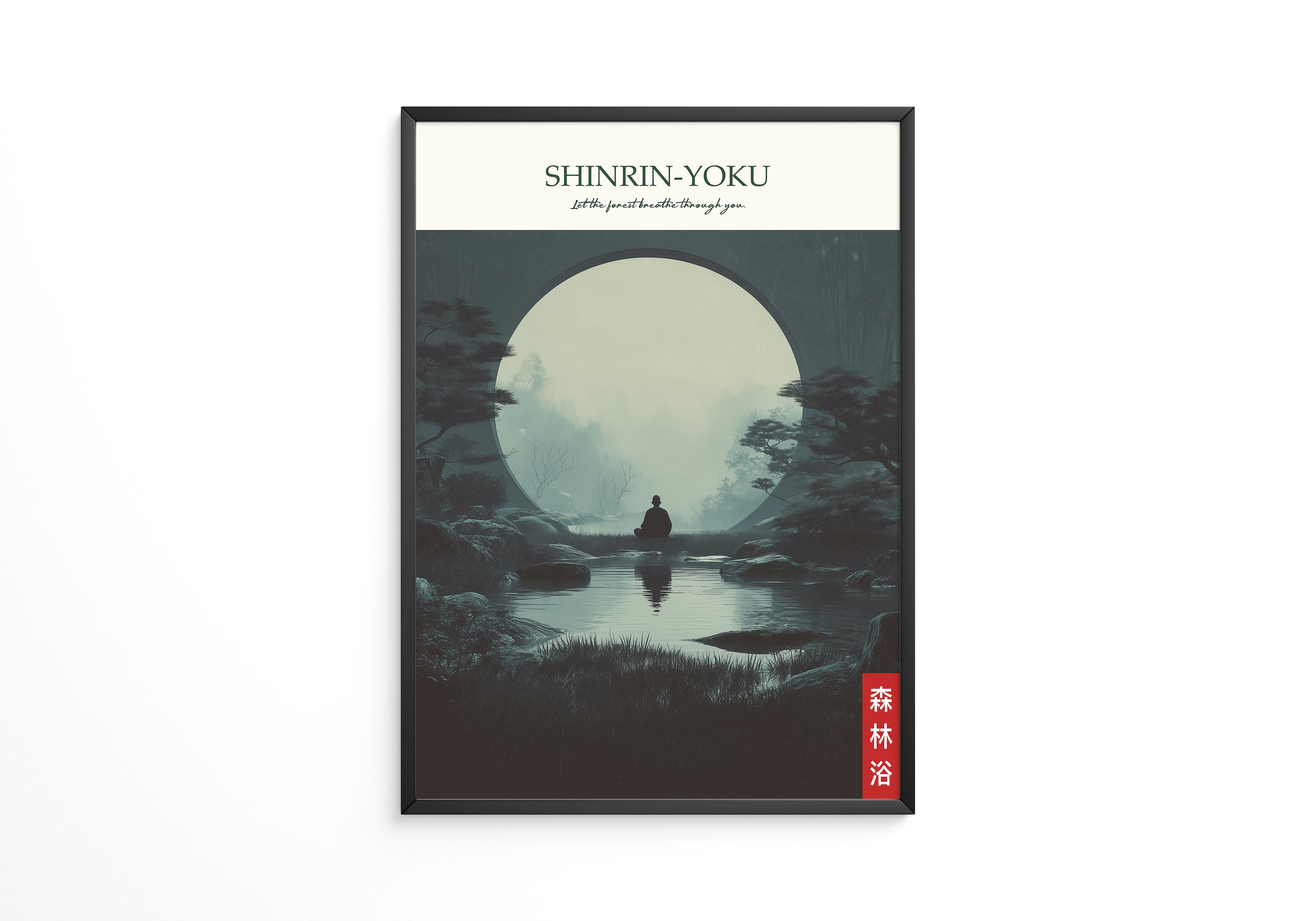 Meditation Waldkreis Relaxing Scene