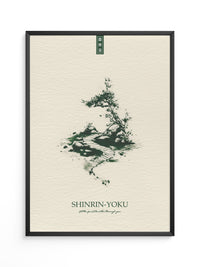 Bonsai Pfad minimalistisch