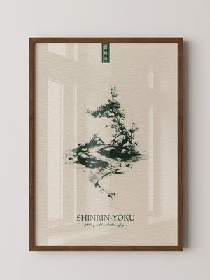 Bonsai Pfad minimalistisch