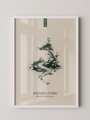 Bonsai Pfad minimalistisch