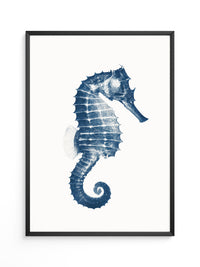 Seepferdchen Blau Monochrom