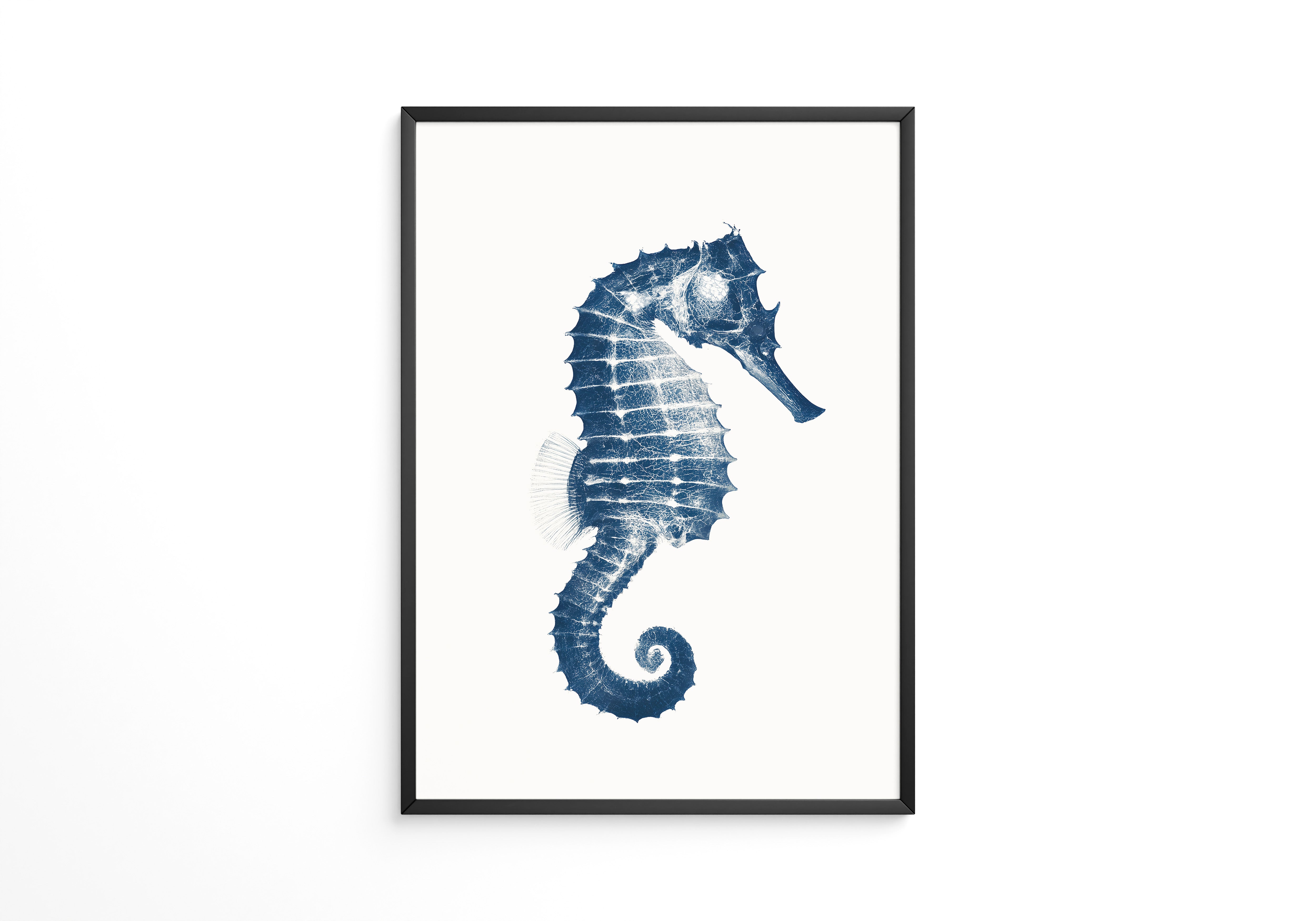 Seepferdchen Blau Monochrom