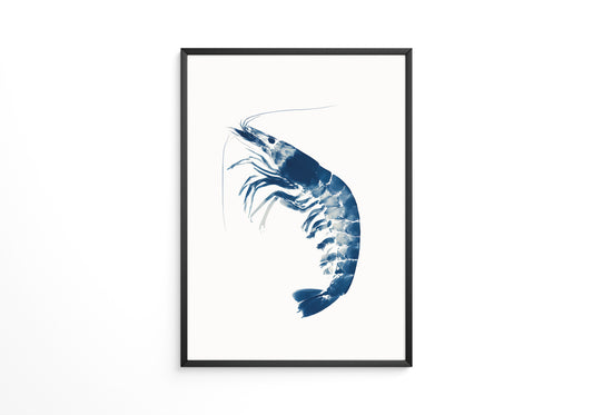 Blaue Garnele minimalistisch