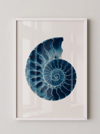 Ammonit Blau Aquarell