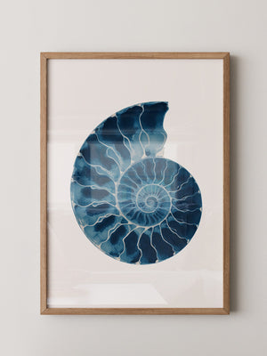 Ammonit Blau Aquarell
