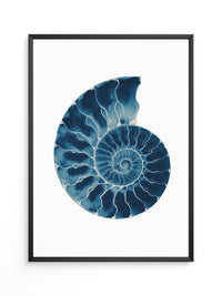 Ammonit Blau Aquarell