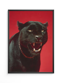Panther rote Eleganz