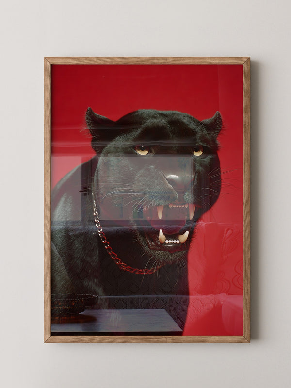 Panther rote Eleganz