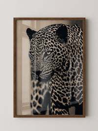 Leopard Nahaufnahme Schwarzbeige