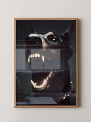 Dobermann Leuchtende Zähne