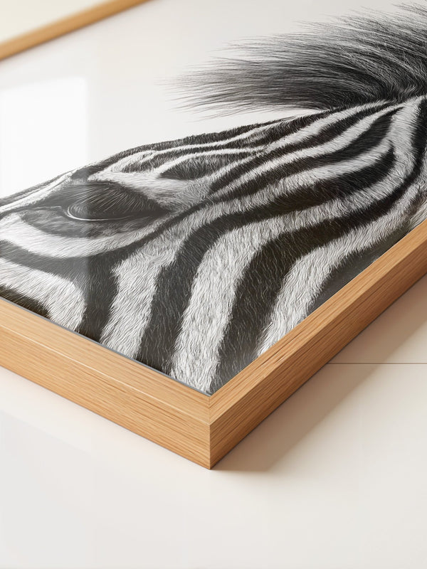 Zebra Detail Schwarzweiß