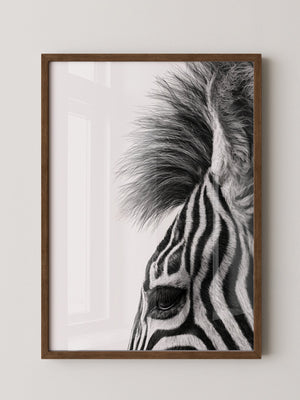 Zebra Detail Schwarzweiß
