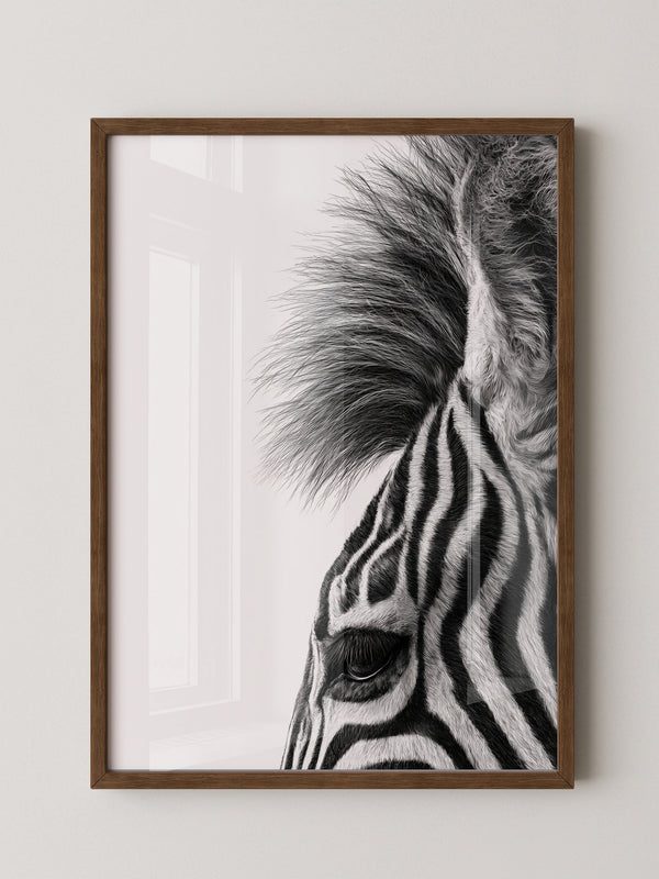 Zebra Detail Schwarzweiß