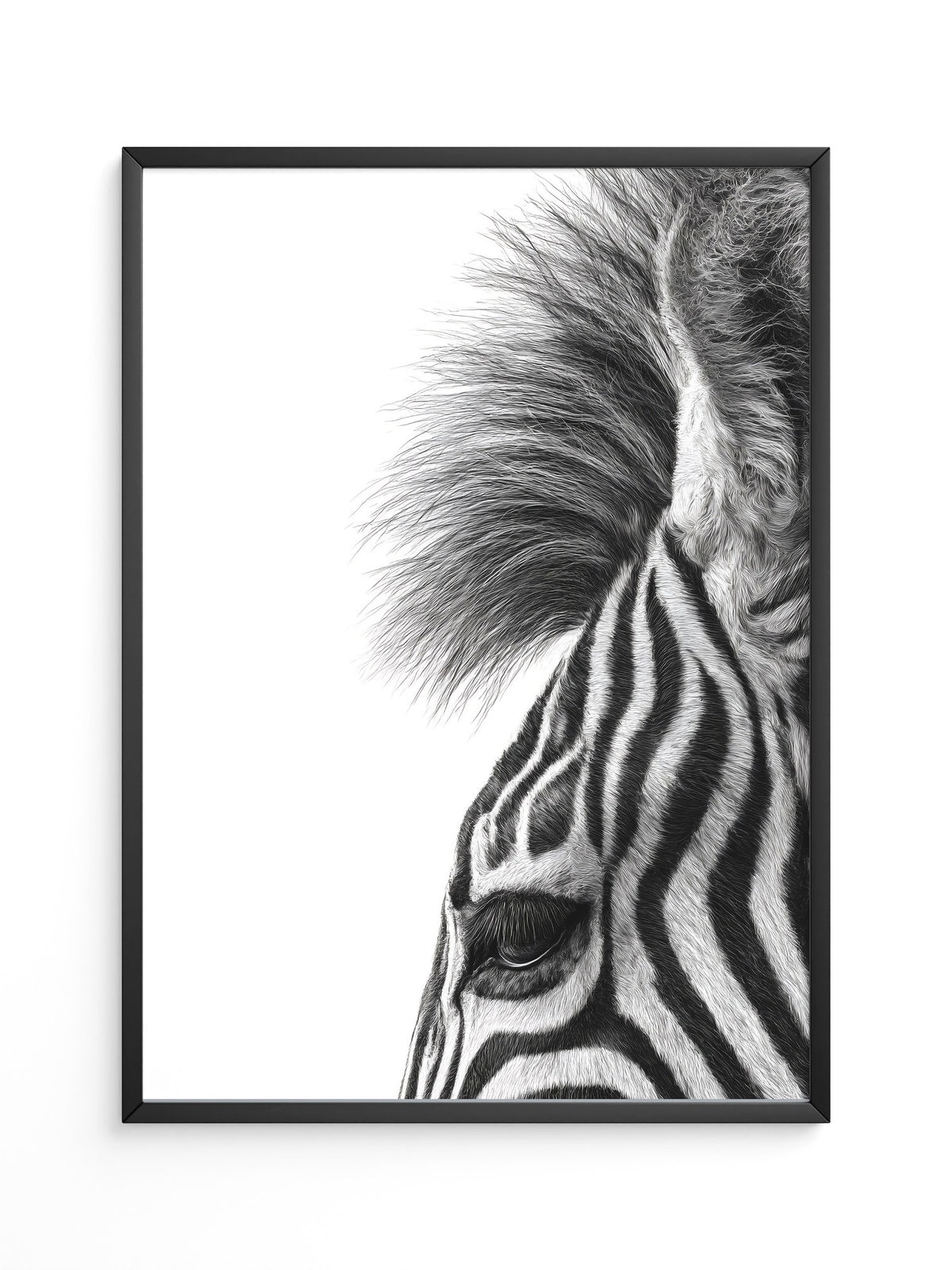 Zebra Detail Schwarzweiß