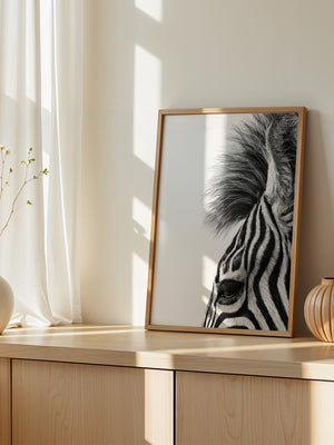Zebra Detail Schwarzweiß