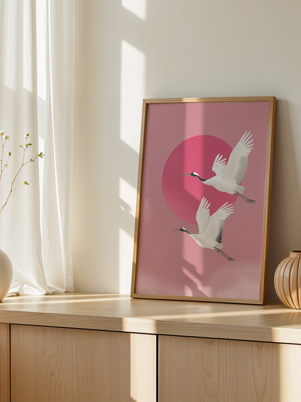 Kraniche Rosa Sonne