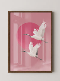Kraniche Rosa Sonne