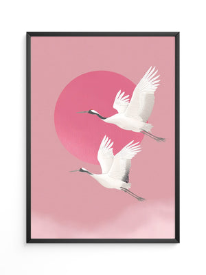 Kraniche Rosa Sonne