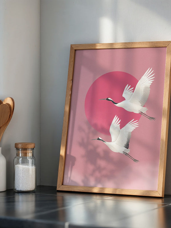 Kraniche Rosa Sonne