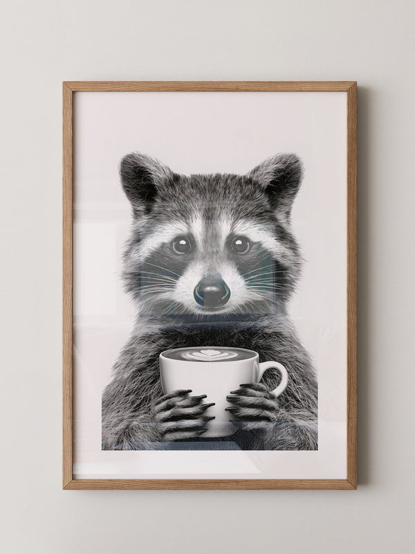 Waschbär Café Schwarzweiß