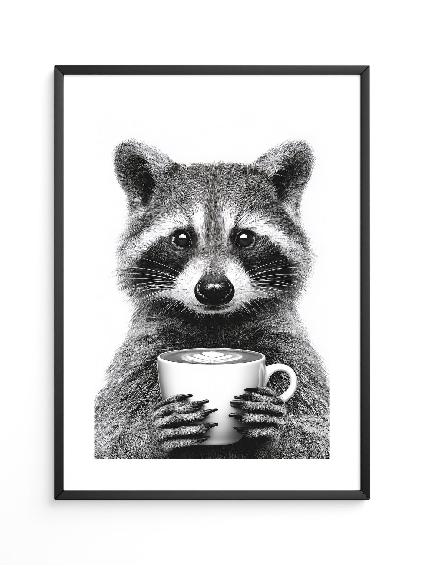 Waschbär Café Schwarzweiß