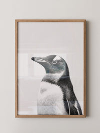 Pinguin Kopf Nahaufnahme S/W