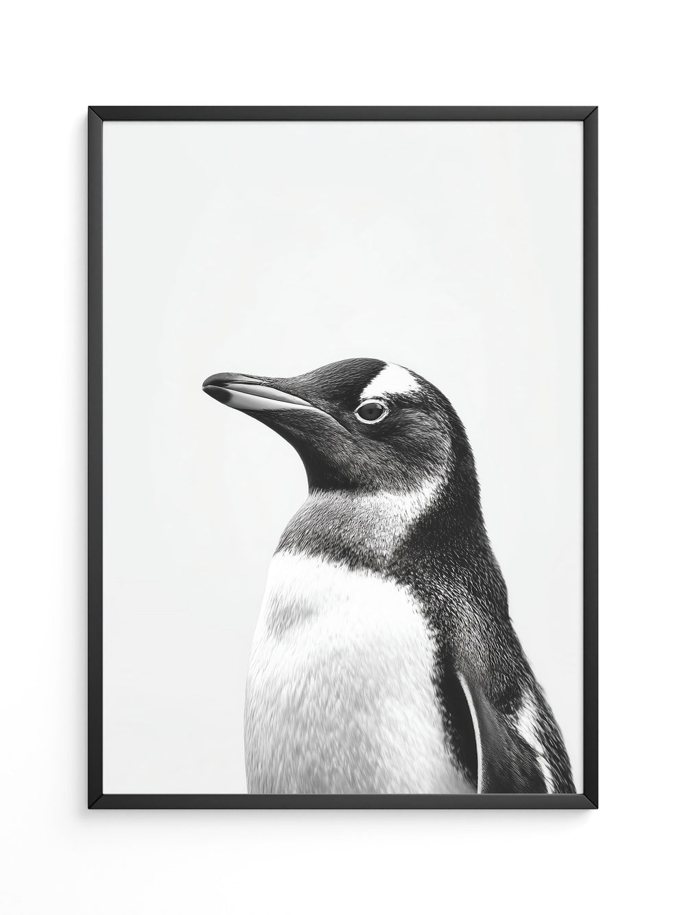 Pinguin Kopf Nahaufnahme S/W