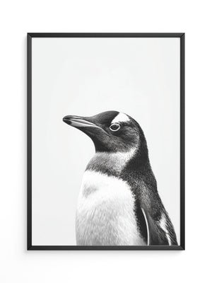 Pinguin Kopf Nahaufnahme S/W