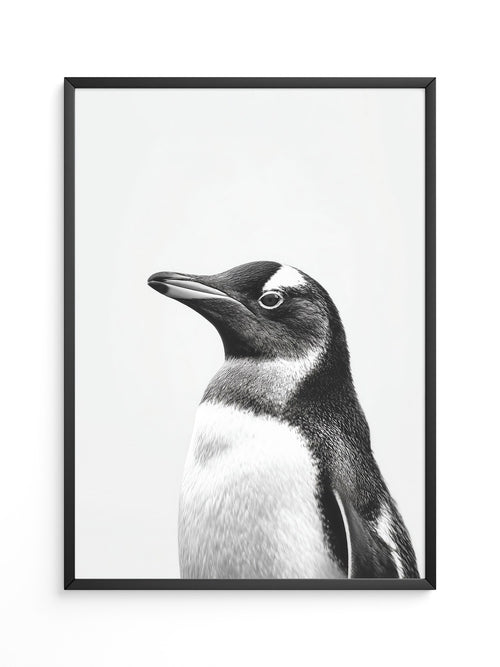 Pinguin Kopf Nahaufnahme S/W