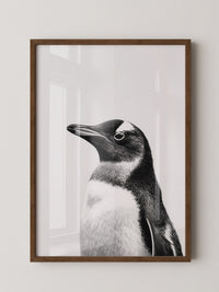 Pinguin Kopf Nahaufnahme S/W