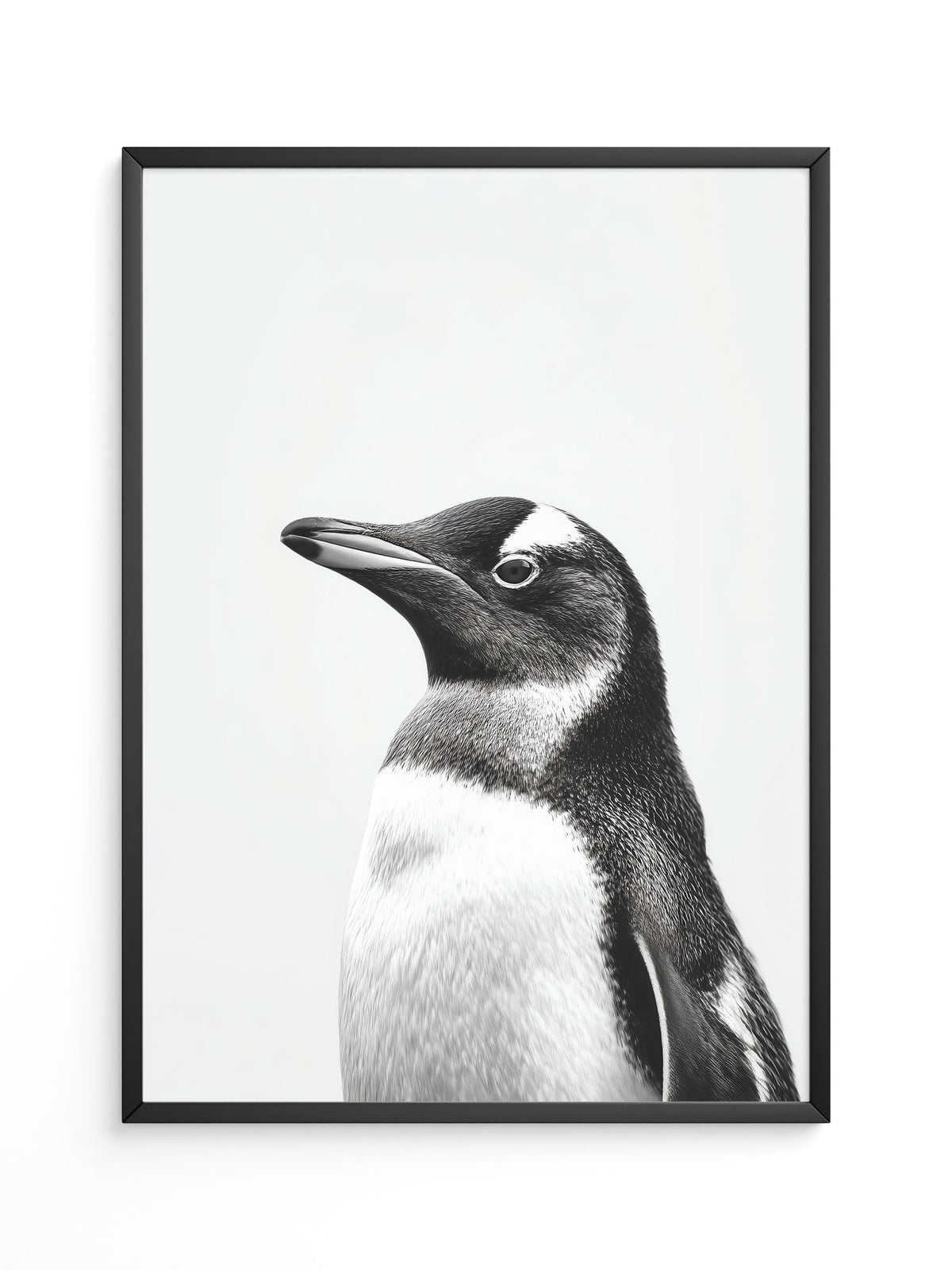 Pinguin Kopf Nahaufnahme S/W