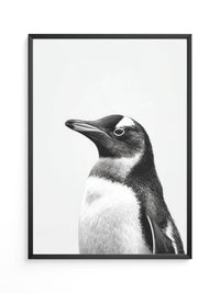 Pinguin Kopf Nahaufnahme S/W
