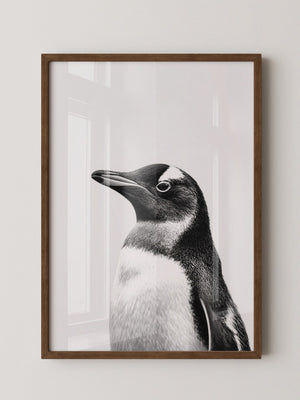Pinguin Kopf Nahaufnahme S/W