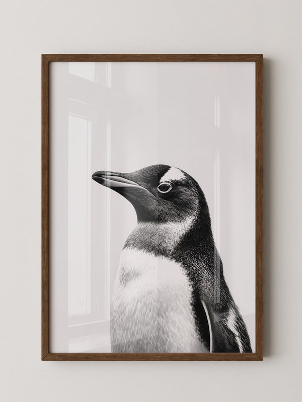 Pinguin Kopf Nahaufnahme S/W
