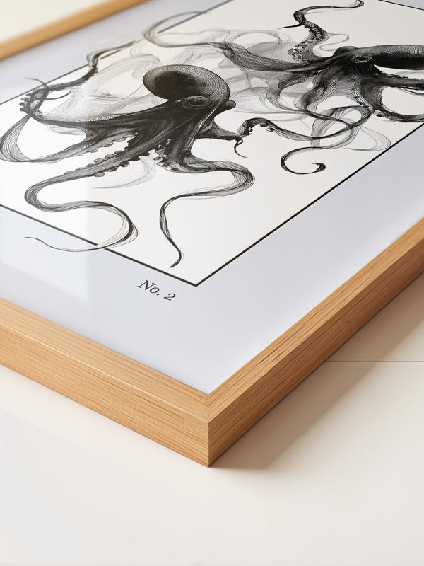 Tintenfische Filigran S/W