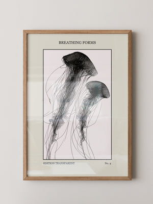 Quallen Transparentlinie Kunstwerk