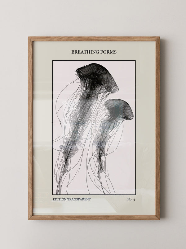 Quallen Transparentlinie Kunstwerk