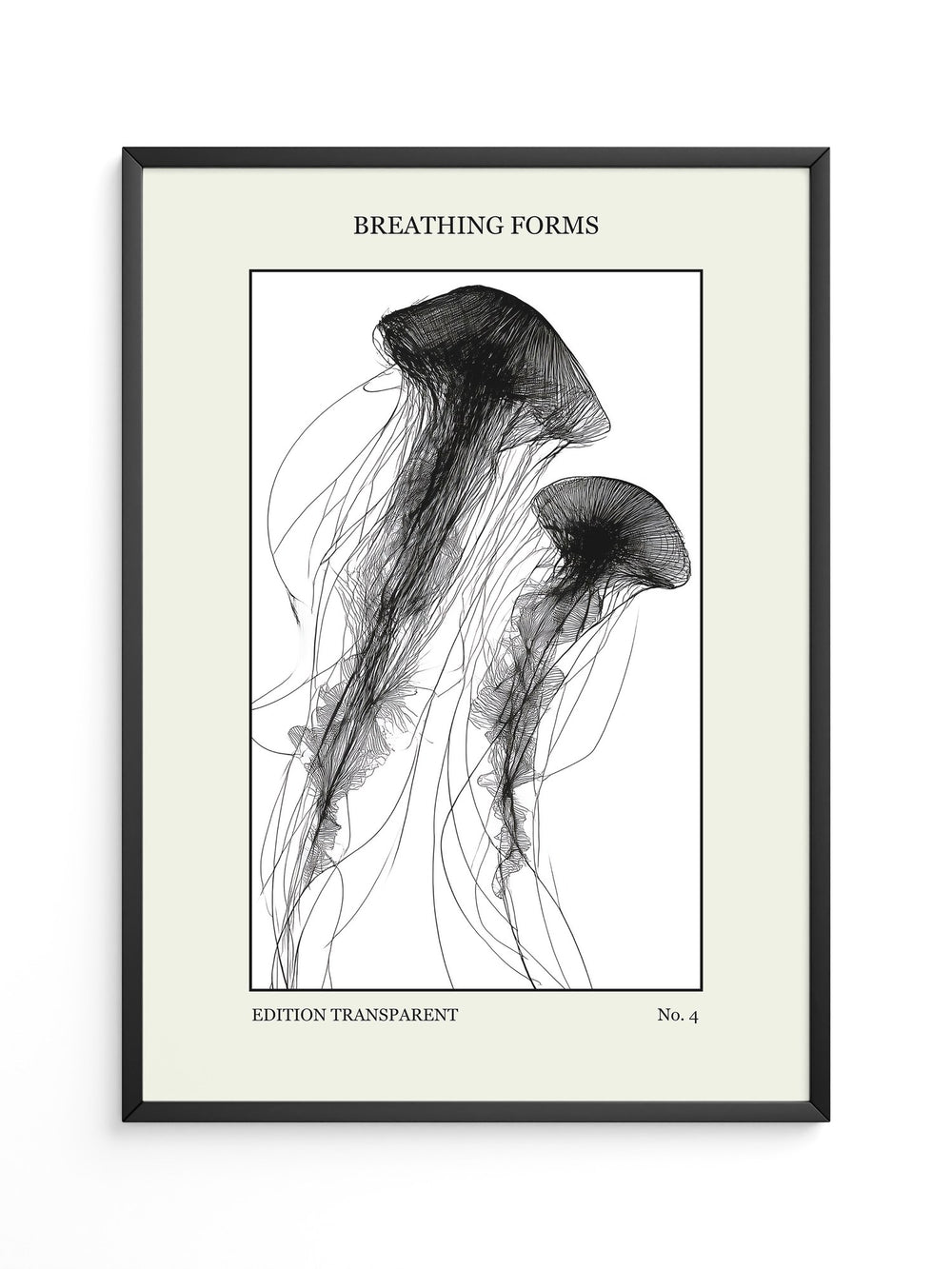 Quallen Transparentlinie Kunstwerk